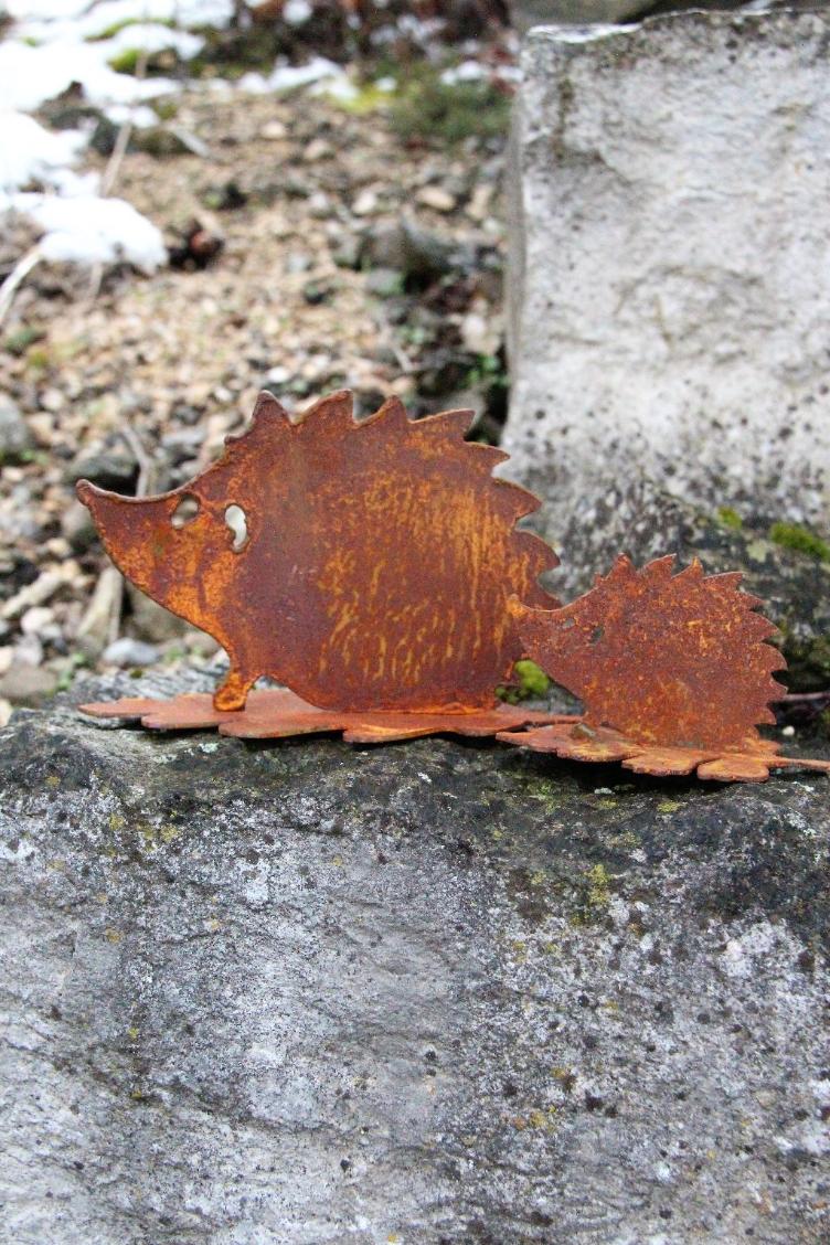 Igel auf Blatt, gross